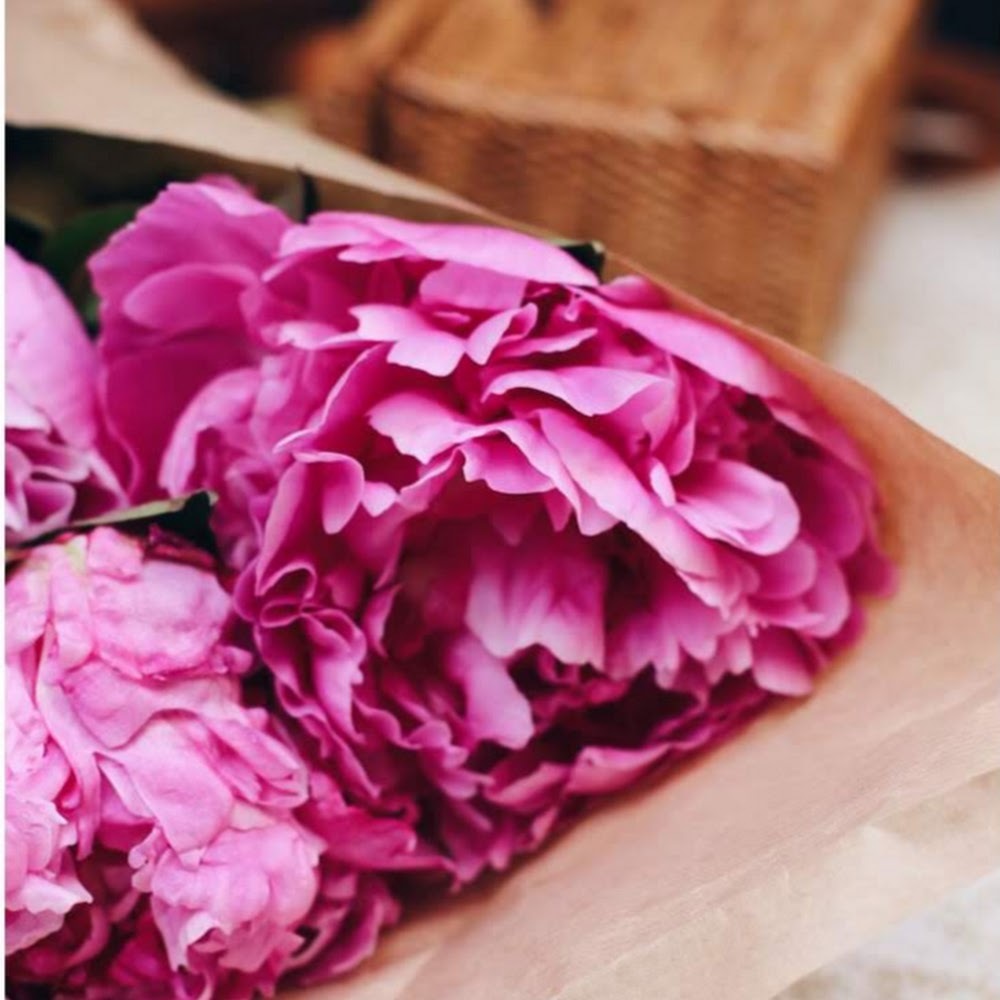 Meet your Posher, Monika